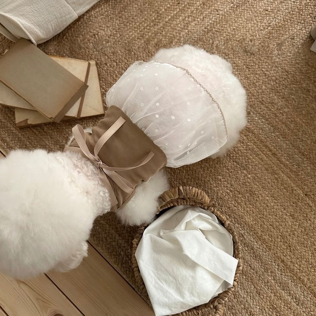 فستان صيفي للحيوانات الأليفة م - مراجعة Lace Teddy Lingerie وسعره